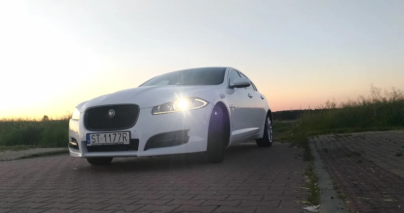 Jaguar XF cena 52000 przebieg: 118226, rok produkcji 2013 z Tychy małe 79